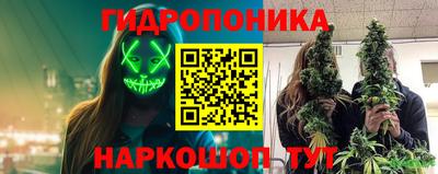 крисы Балаково