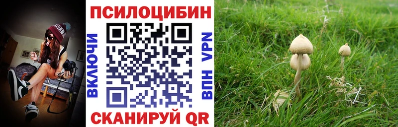 Галлюциногенные грибы Cubensis  наркотики  Дивногорск 
