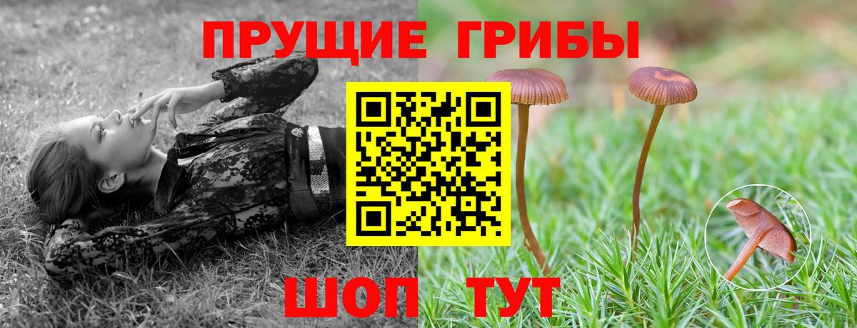 Галлюциногенные грибы Magic Shrooms  Галлюциногенные грибы Psilocybe  Дивногорск  Вход с VPN 